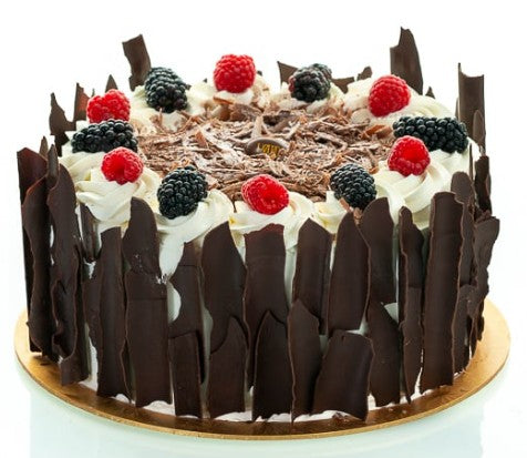 Black forest | الغابة السوداء