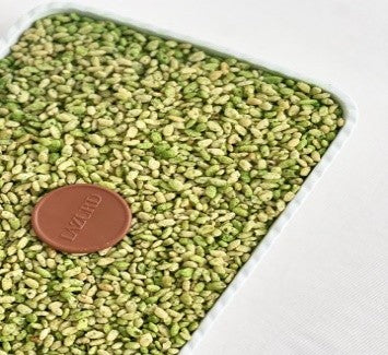 Pistachio crunch | قرمشة الفستق